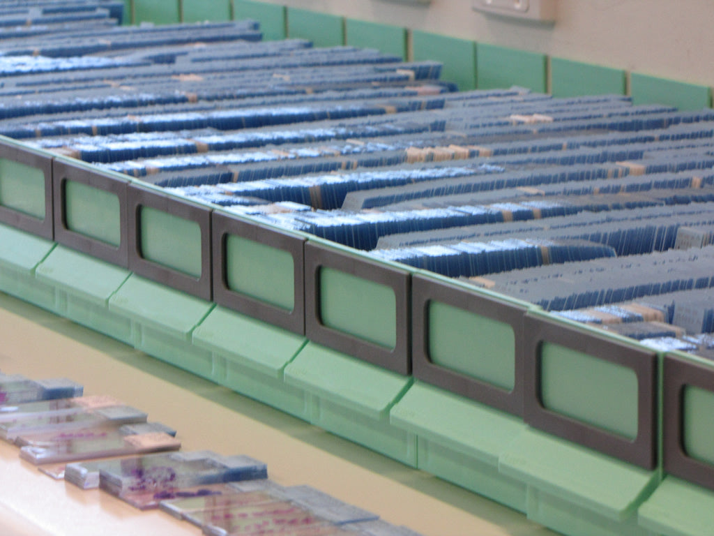 Pangalark Storage System